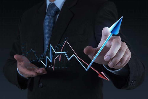 拓商之道 拼多多运营实战攻略，告别“没流量”困境的站内推广秘笈